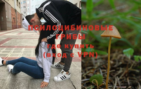 МДПВ Алексин